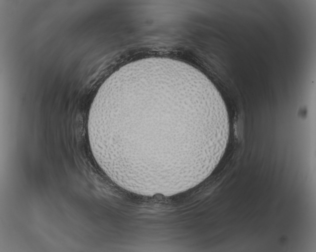 X0000116111347200912211624