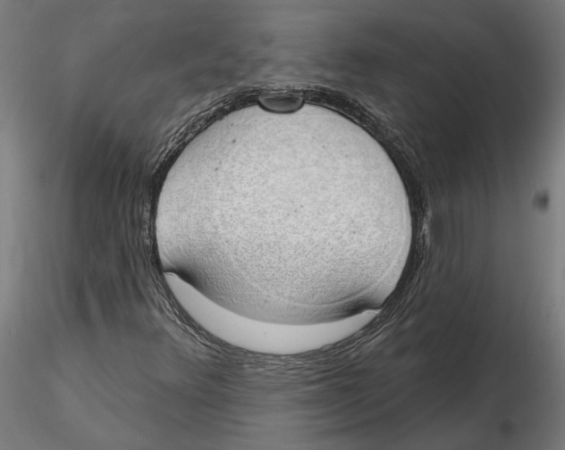 X0000116111348200912211624