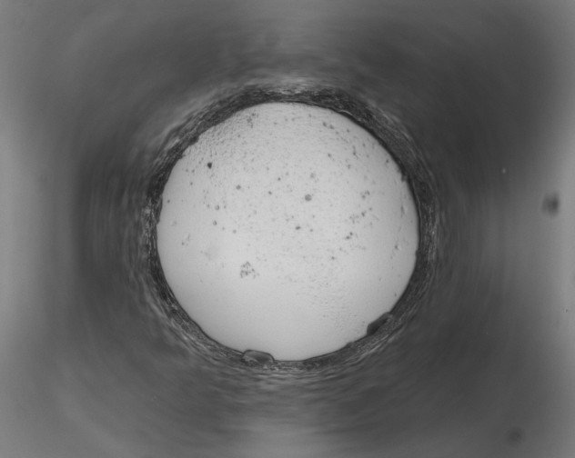 X0000116111349200912211624