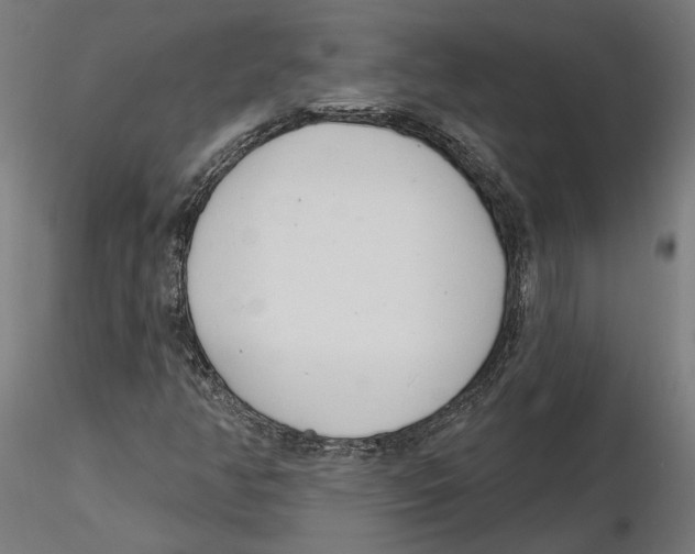 X0000116111350200912211624