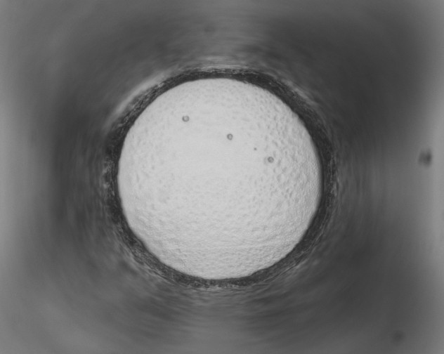 X0000116111351200912211624