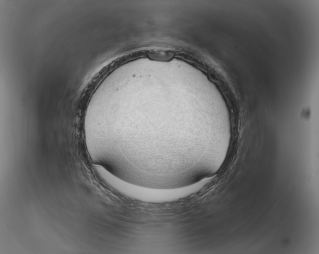 X0000116111352200912211624