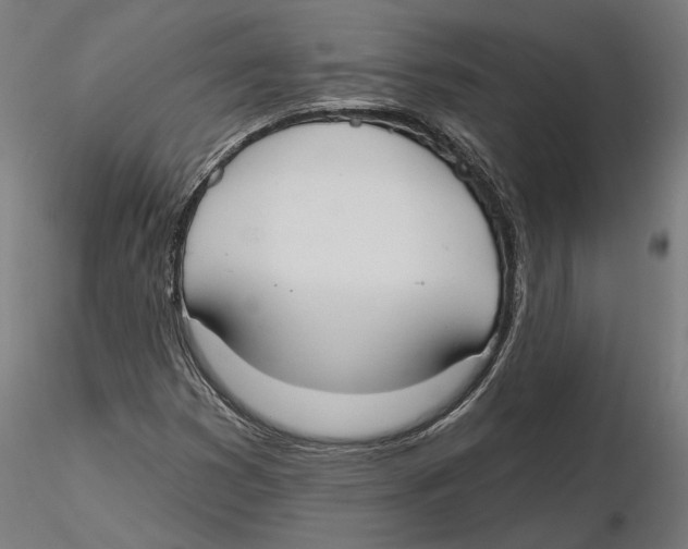 X0000116111353200912211624