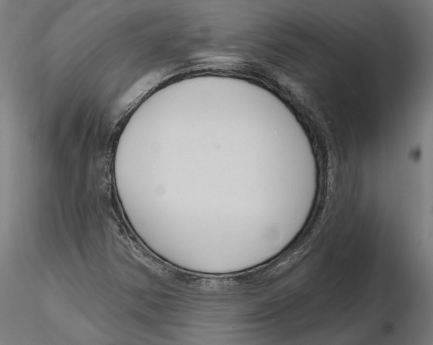 X0000116111354200912211624