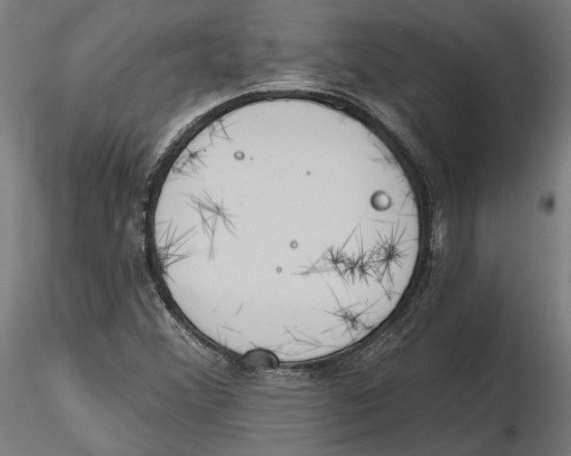 X0000116111356200912211624