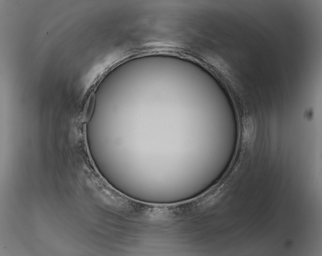 X0000116111357200912211624