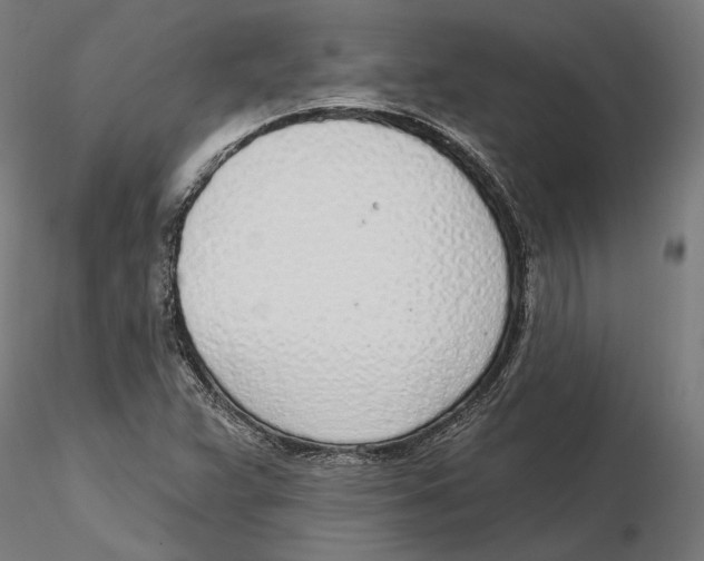 X0000116111359200912211624