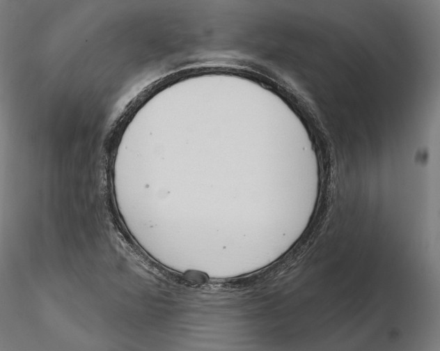 X0000116111360200912211624