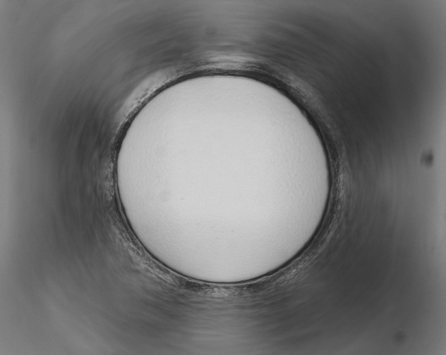 X0000116111362200912211624