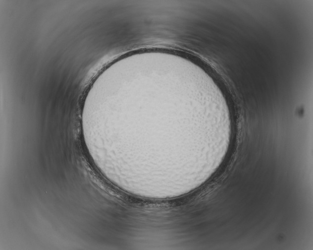 X0000116111363200912211624