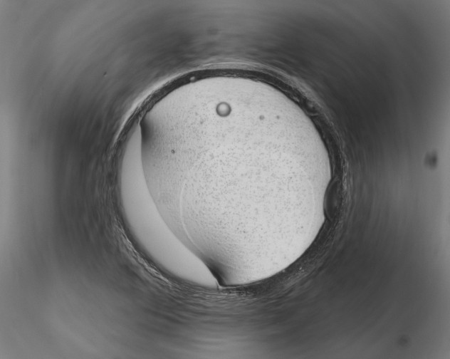 X0000116111364200912211624