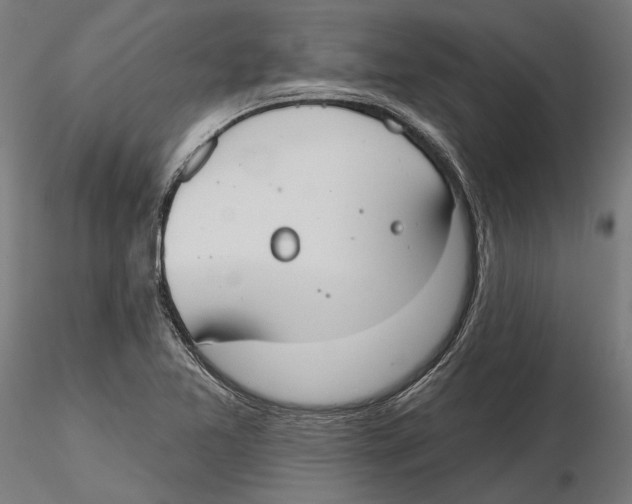 X0000116111365200912211624