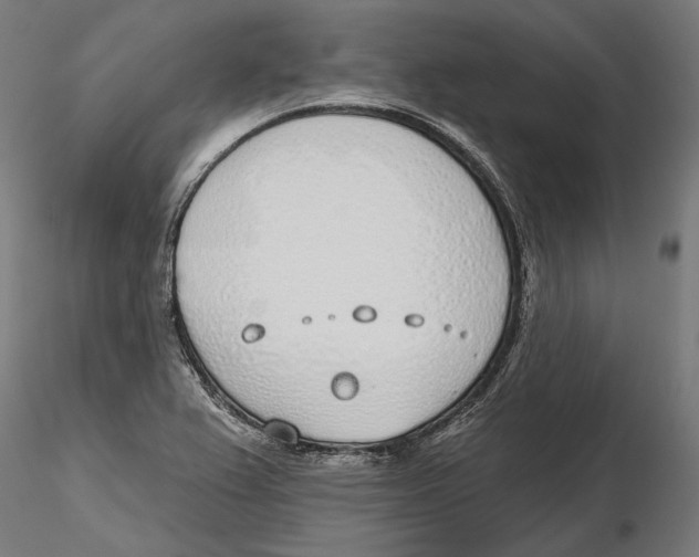 X0000116111367200912211624