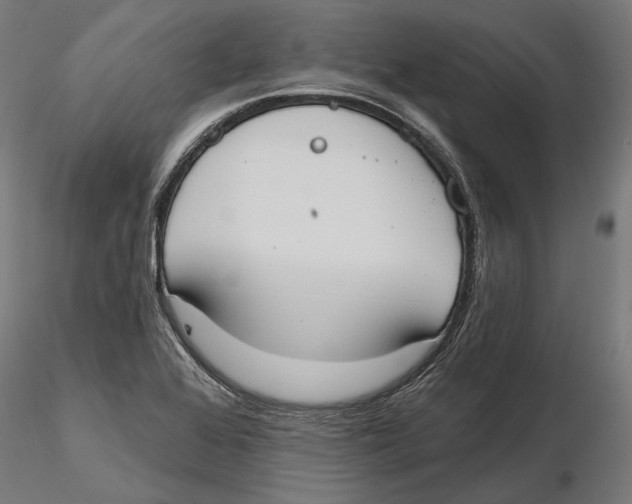 X0000116111368200912211624