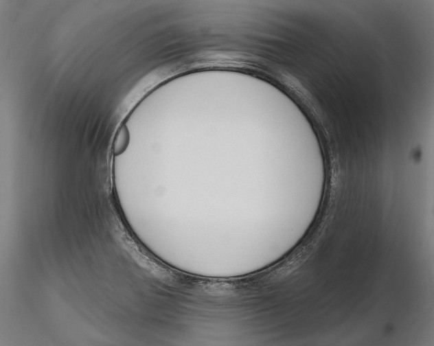 X0000116111370200912211624