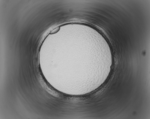 X0000116111371200912211624