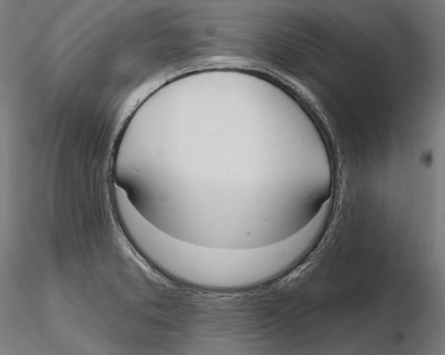 X0000116111373200912211624