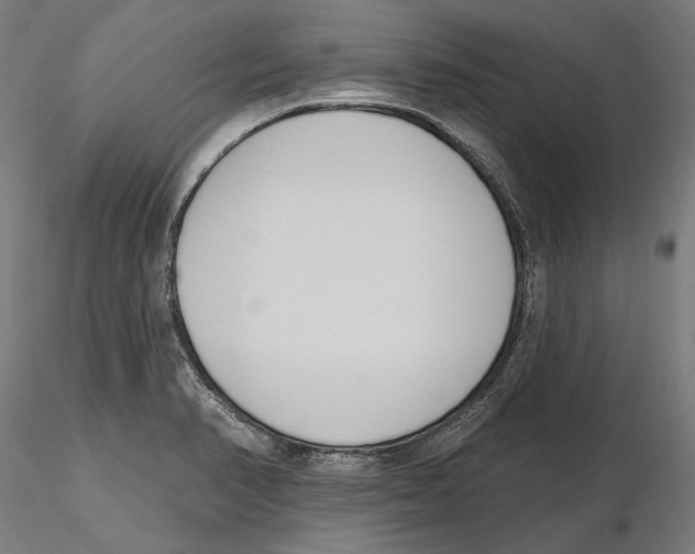 X0000116111374200912211624