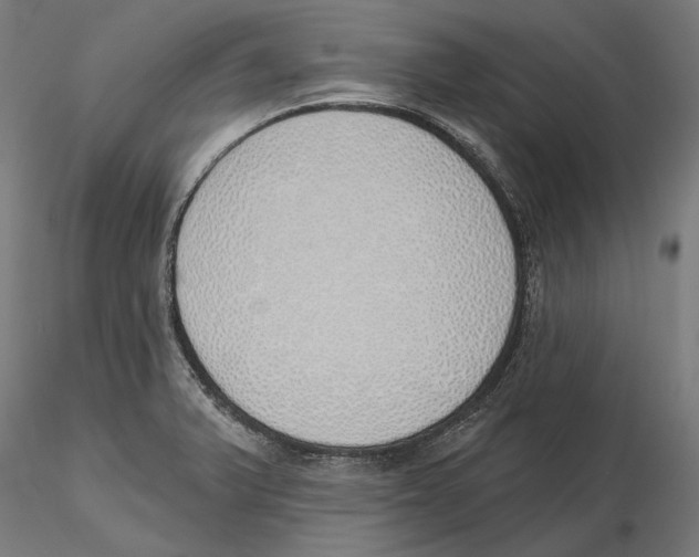 X0000116111375200912211624