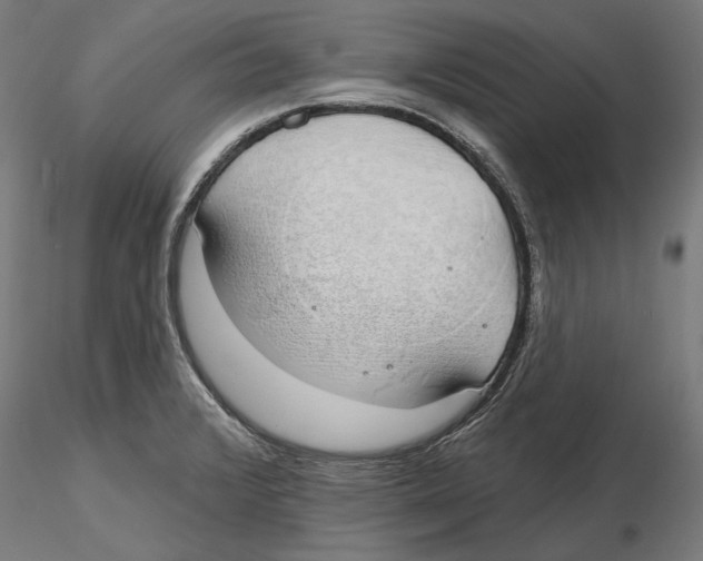 X0000116111376200912211624