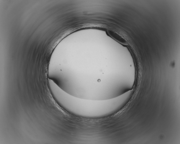 X0000116111377200912211624