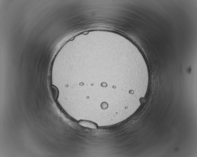 X0000116111379200912211623