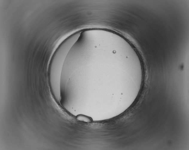 X0000116111380200912211623