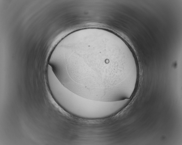 X0000116111381200912211623