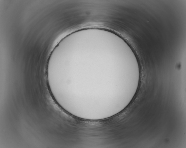 X0000116111382200912211623