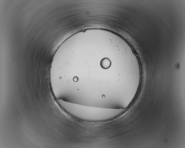 X0000116111385200912211623