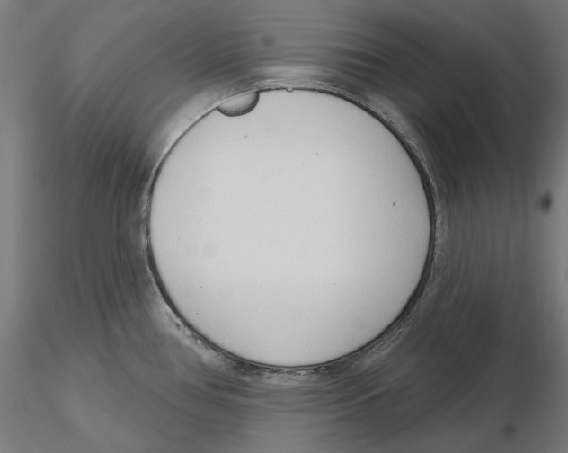 X0000116111386200912211623