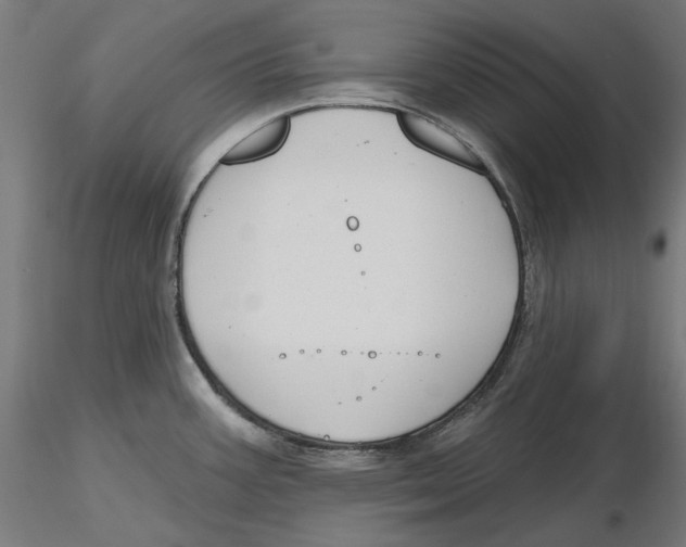 X0000116111387200912211623