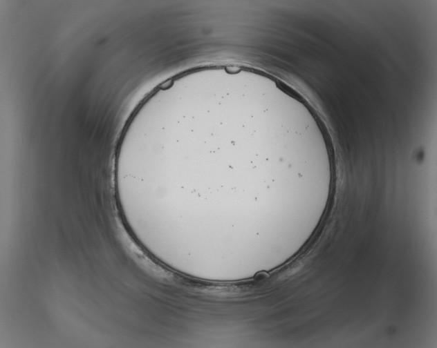 X0000116111388200912211623