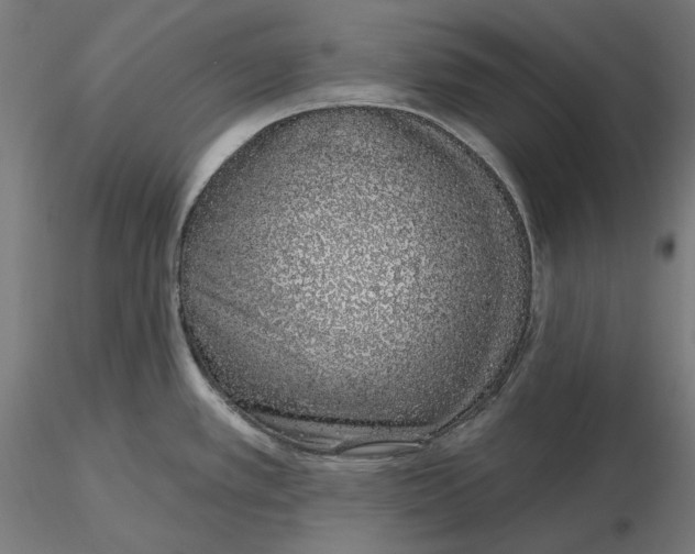 X0000116111389200912211623