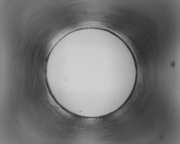 X0000116111390200912211623