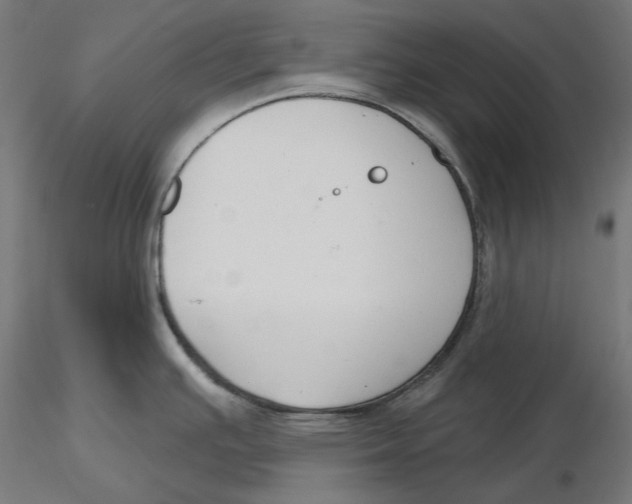 X0000116111391200912211623