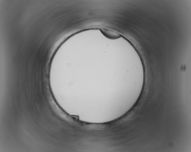 X0000116111392200912211623