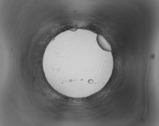 X0000116111393200912211623