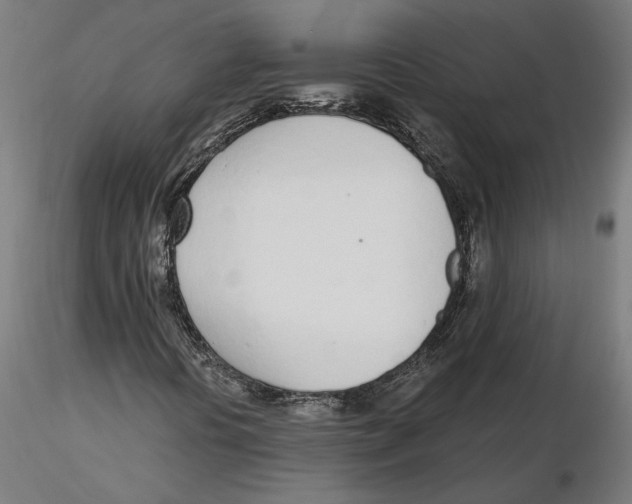 X0000116111394200912211623