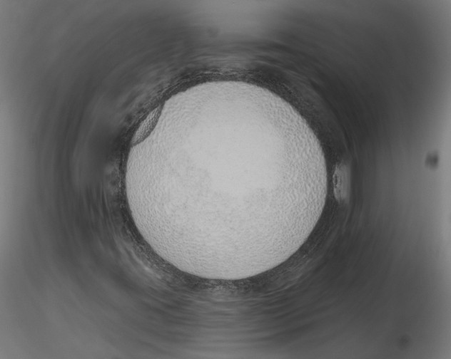 X0000116111395200912211623