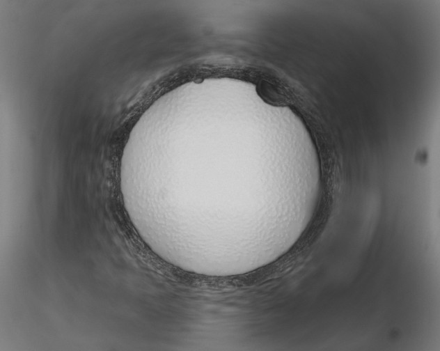 X0000116111397200912211623