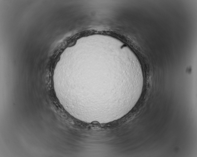 X0000116111398200912211623