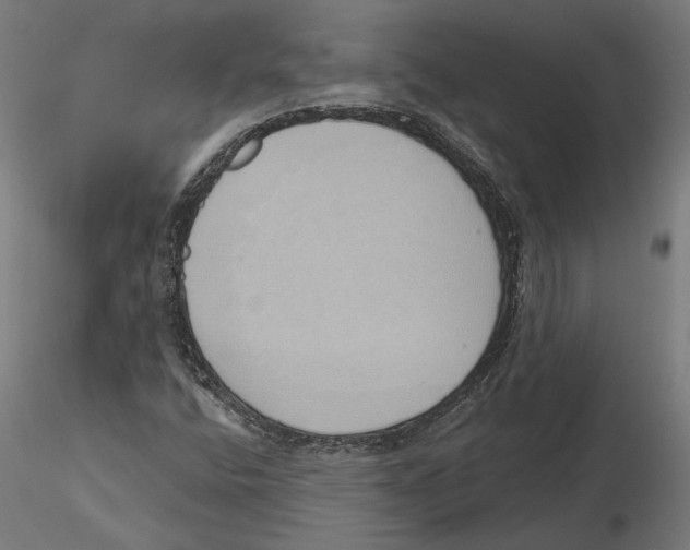 X0000116111400200912211623