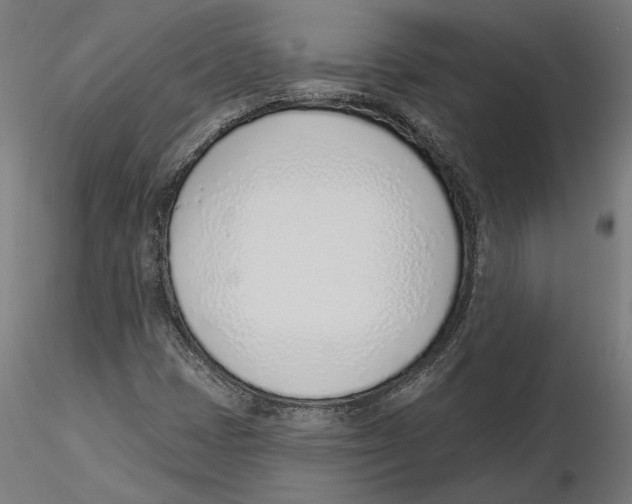 X0000116111401200912211623