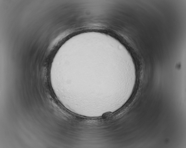 X0000116111402200912211623