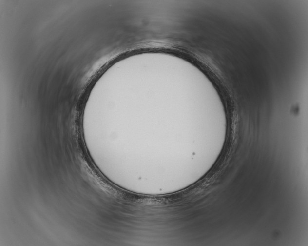 X0000116111404200912211623