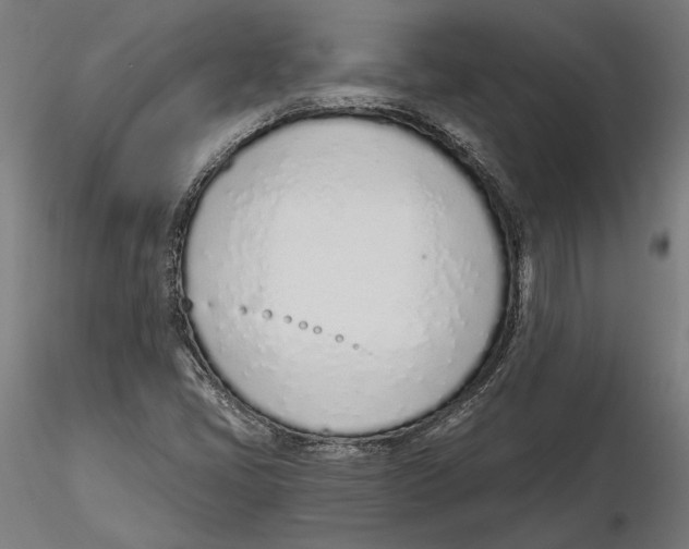 X0000116111405200912211623