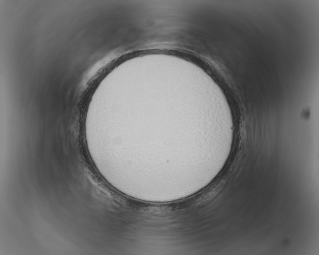 X0000116111406200912211623