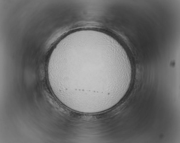 X0000116111407200912211623