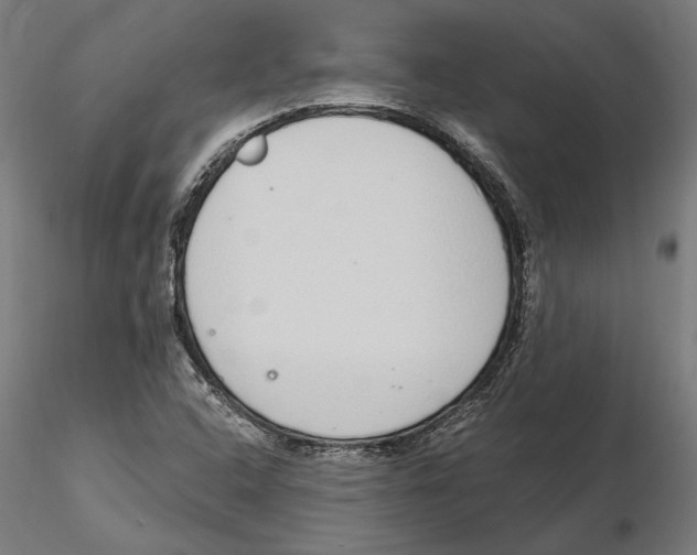 X0000116111408200912211623